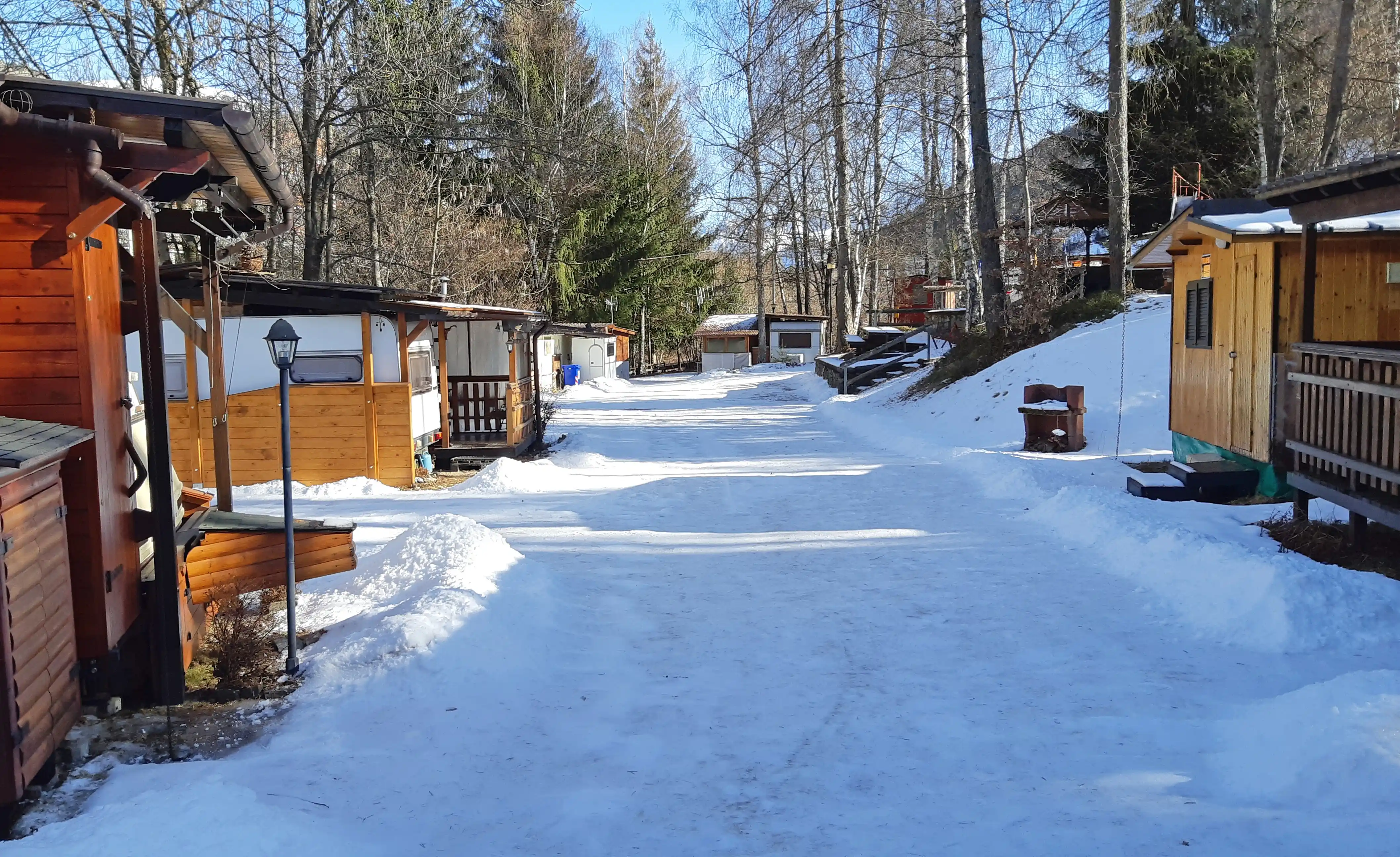 Ruscello e prati fioriti nel bosco alpino