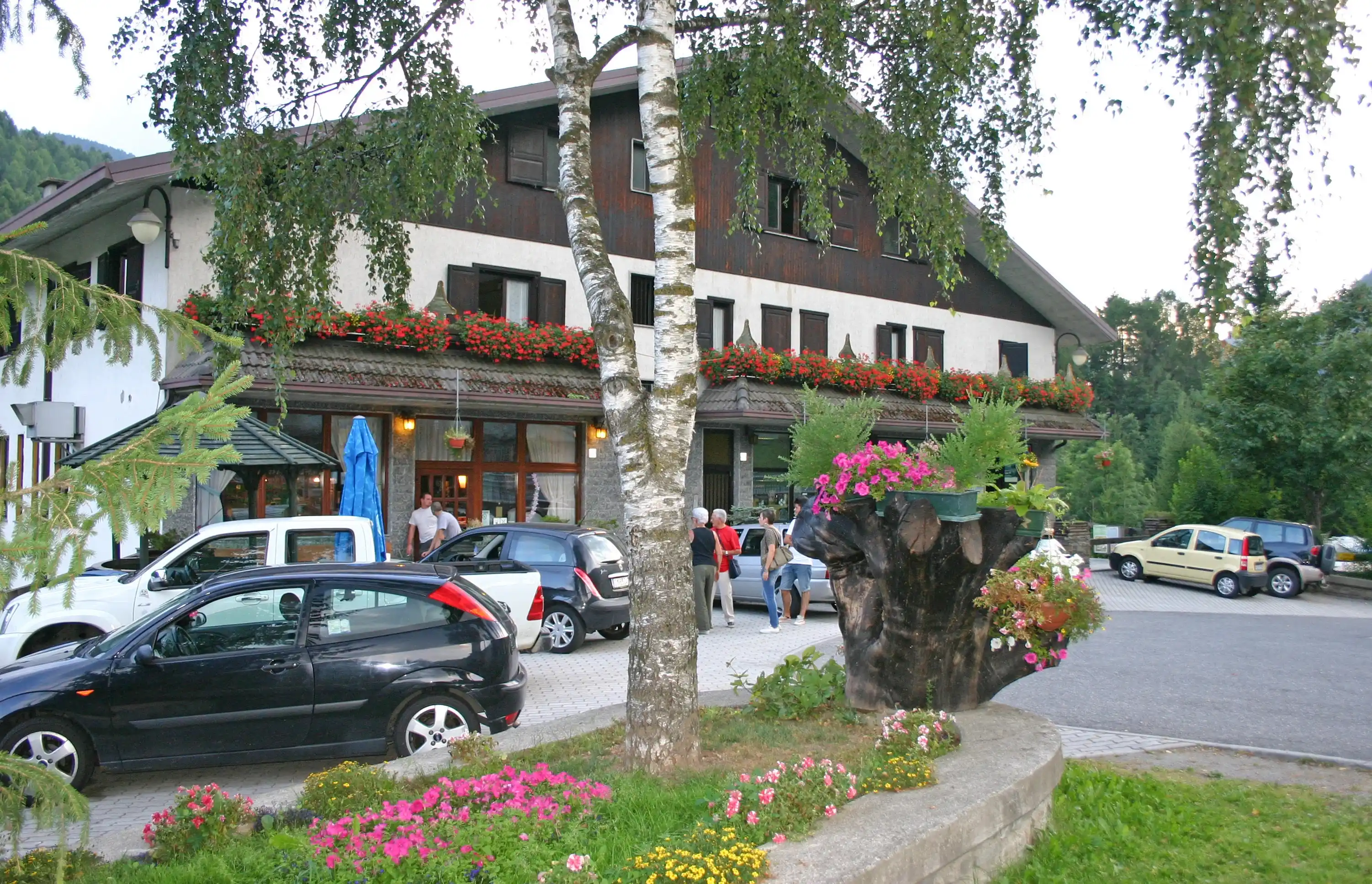 Piazzole del campeggio tra i pini con camper e tende